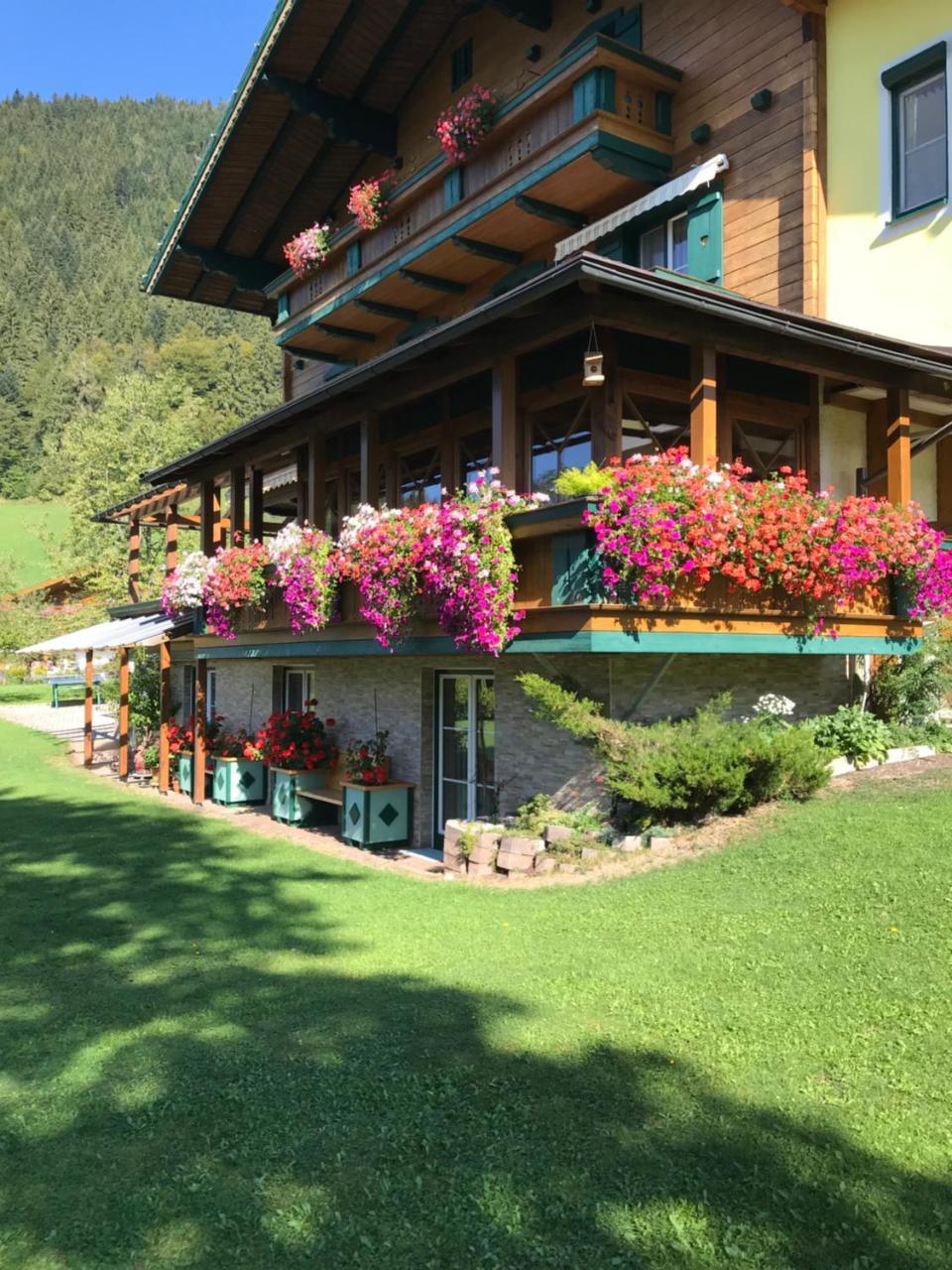 Bed and Breakfast Haus Alpina Werfenweng Exterior foto